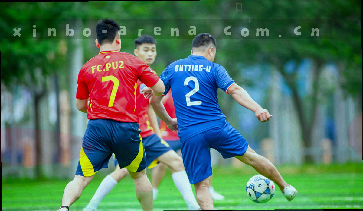 心博体育支持中心五组问答的分类示意，湖蓝与橙色区块环绕中心图标