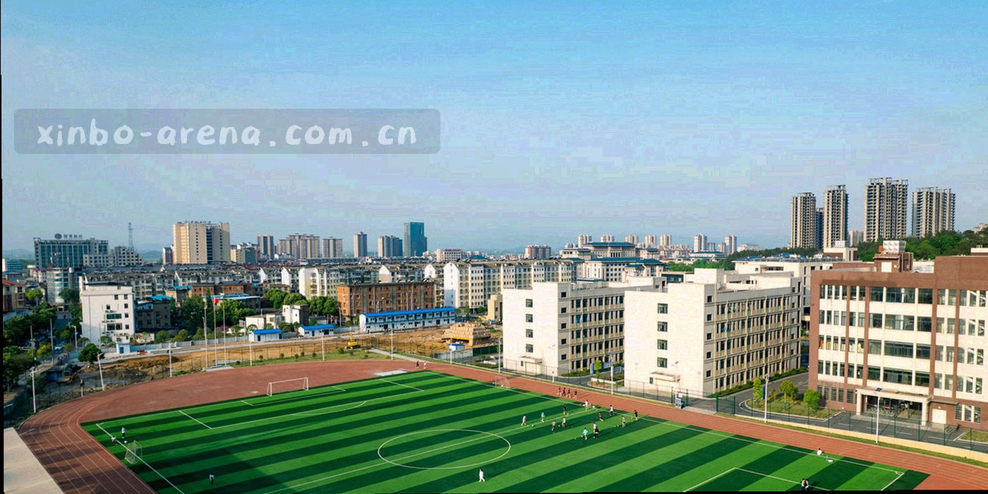 抽象的信息层级关系图，湖蓝圆形节点由线条连接，橙色标注关键节点，无文字